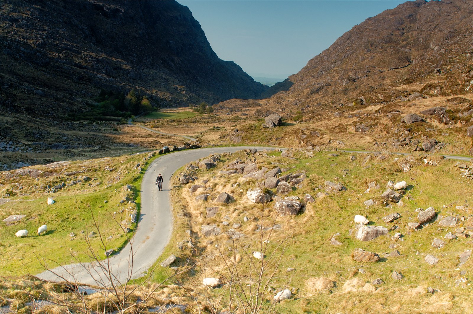 Long Winding Roads