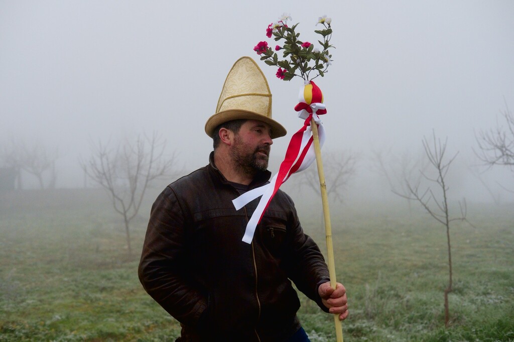 Festa dos Rapazes de Grijó de Parada